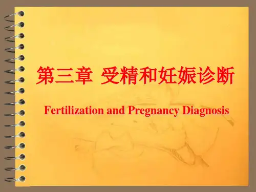 兽医产科学之分娩与助产ppt课件