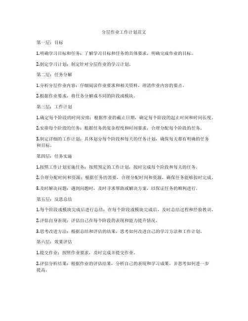 分层作业工作计划范文