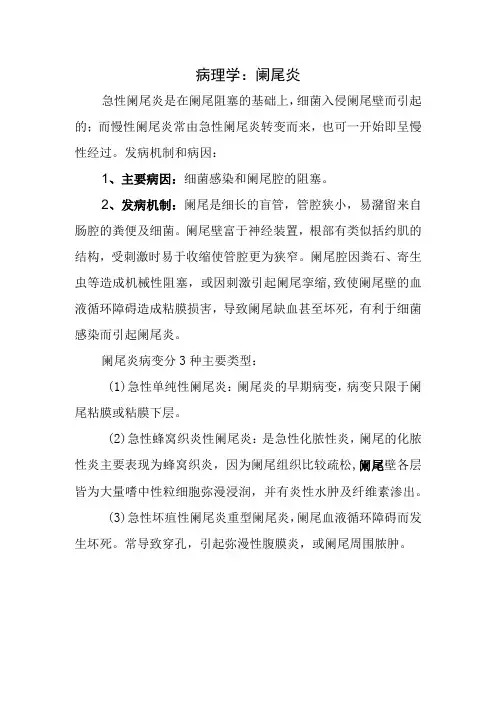 病理学：阑尾炎