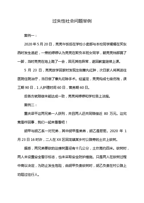 过失性社会问题举例