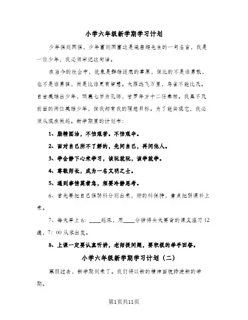 小学六年级新学期学习计划(5篇)