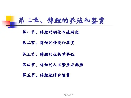 第二章 锦鲤的养殖与鉴赏ppt课件