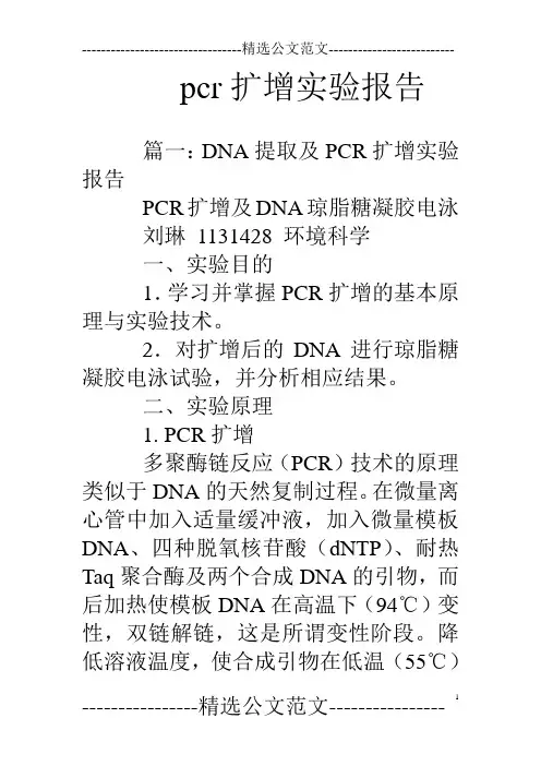 pcr扩增实验报告