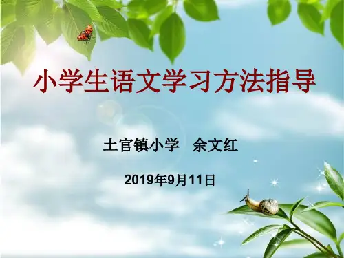 小学生语文学习方法指导