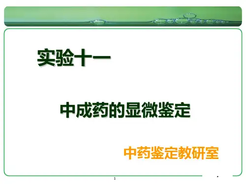 《中药鉴定学期末复习》实验十一 中成药的显微鉴定