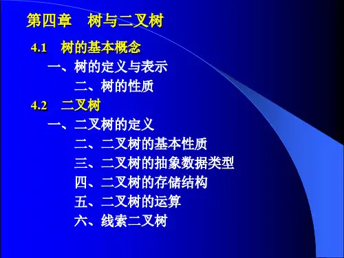 树与二叉树