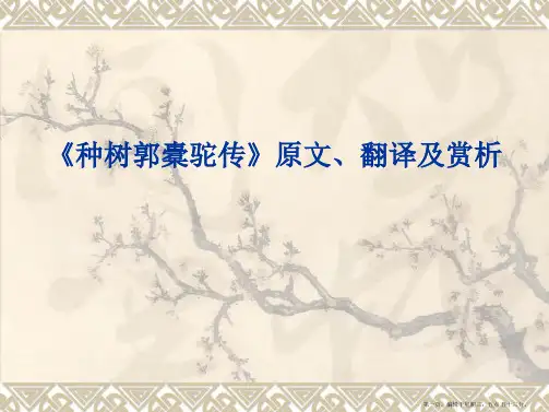 《种树郭橐驼传》原文翻译及赏析