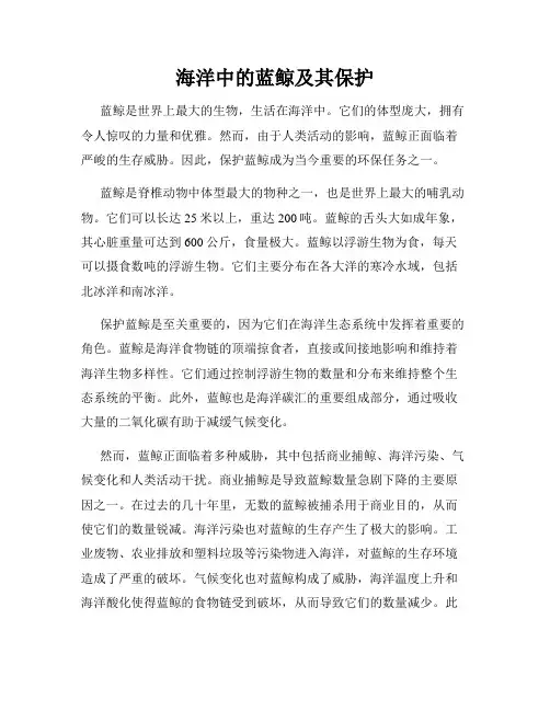 海洋中的蓝鲸及其保护