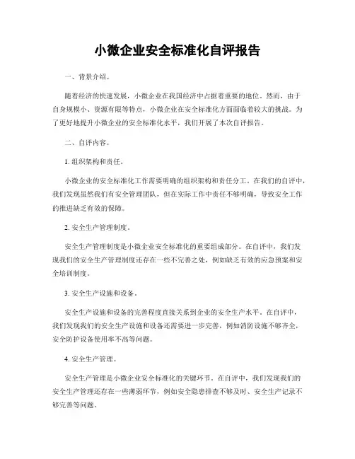 小微企业安全标准化自评报告