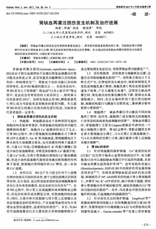 肾缺血再灌注损伤发生机制及治疗进展