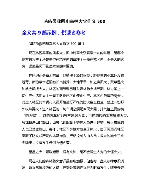 消防员救四川森林大火作文500