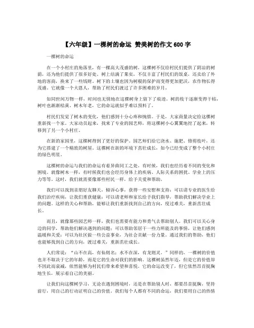 【六年级】一棵树的命运 赞美树的作文600字