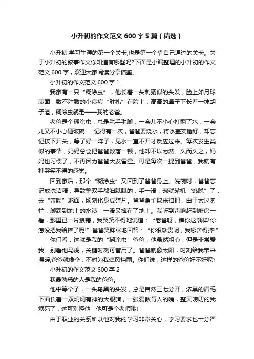 小升初的作文范文600字5篇（精选）