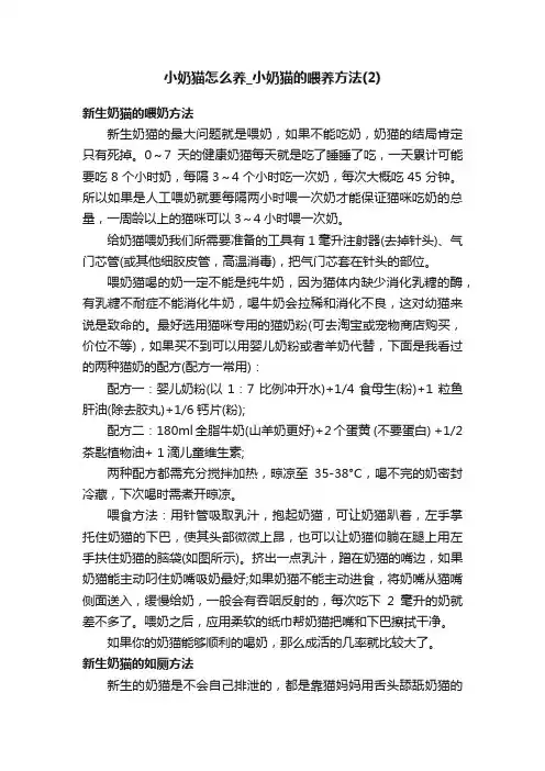 小奶猫怎么养_小奶猫的喂养方法（2）