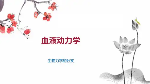血液动力学 
