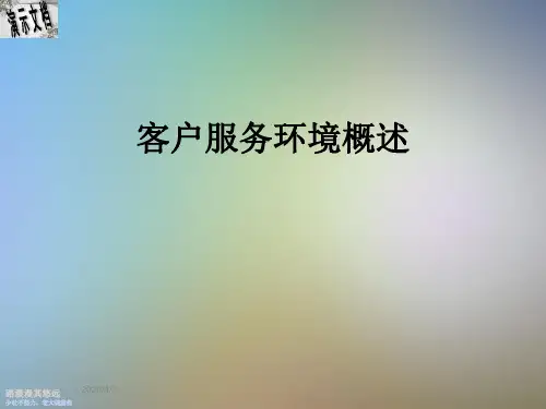 客户服务环境概述