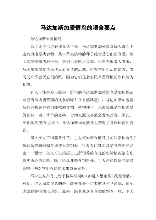 马达加斯加爱情鸟的喂食要点