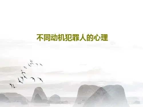 不同动机犯罪人的心理共32页PPT