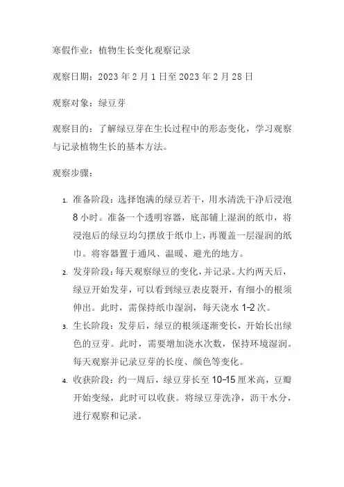 寒假作业植物生长变化观察记录