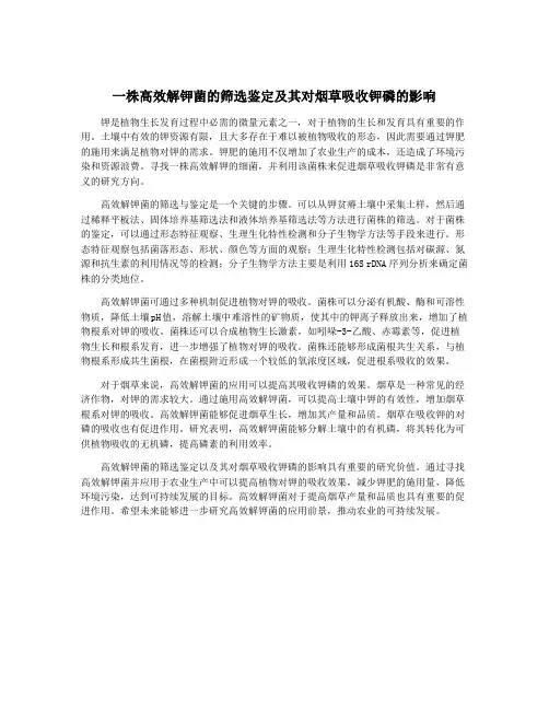 一株高效解钾菌的筛选鉴定及其对烟草吸收钾磷的影响