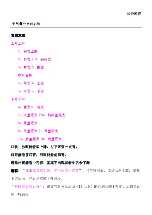 肺叶的分段口诀