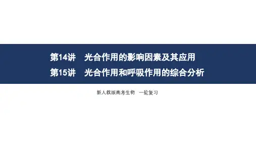 第14讲 光合作用的影响因素及其应用- 2025年高考生物一轮复习课件