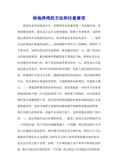 林地养鸡的方法和注意事项