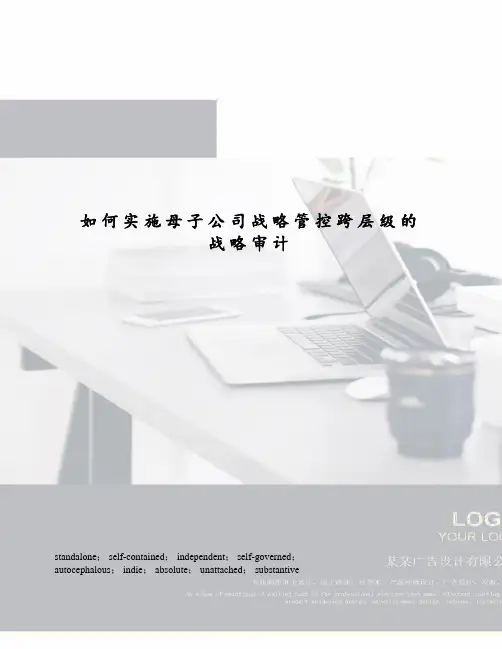 如何实施母子公司战略管控跨层级的战略审计