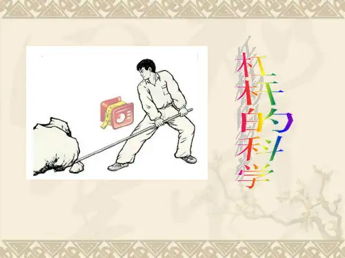 教科版小学科学六年级上册第一单元《杠杆的科学