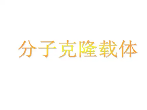 5 第五讲 分子克隆载体