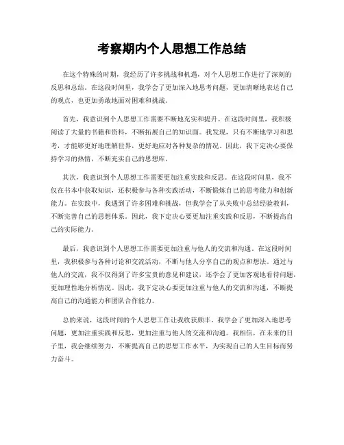 考察期内个人思想工作总结