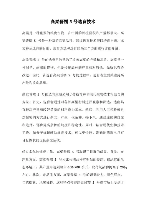 高粱晋糯5号选育技术