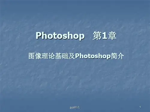 photoshop基础学习教程教案初学者入门ppt课件