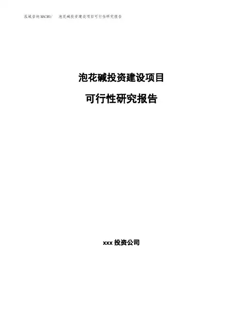 泡花碱投资建设项目可行性研究报告