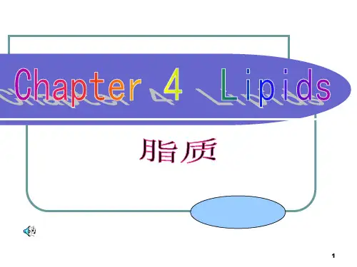华农考研资料：食品化学-第四章：脂质