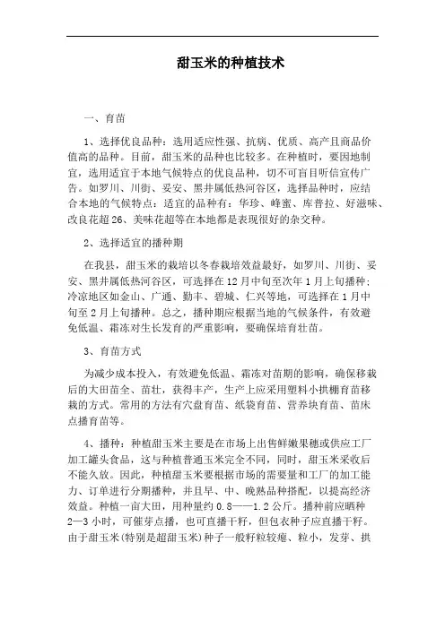 甜玉米的种植技术
