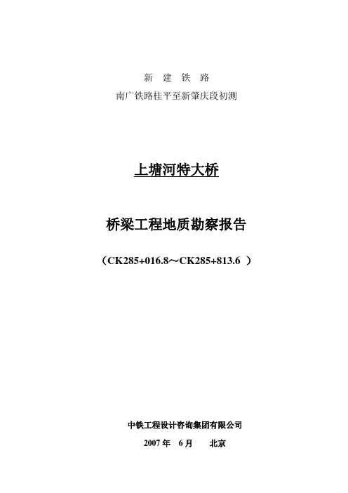 南广铁路桂平至新肇庆段初测上石塘特大桥桥梁工程地质勘察报告