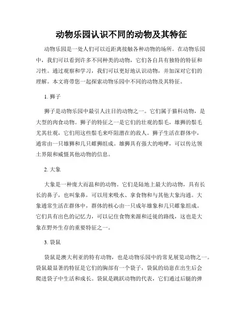 动物乐园认识不同的动物及其特征