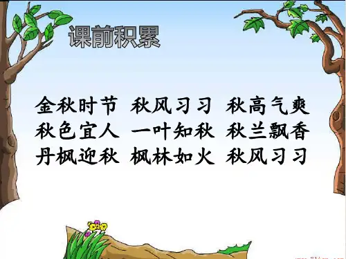 抓文章的中心句过渡句