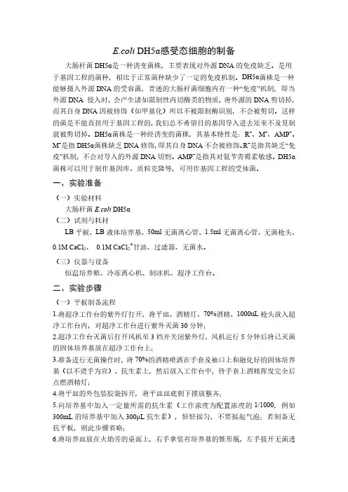 DH5α感受态的制备