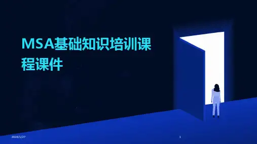 MSA基础知识培训课程课件(2024)