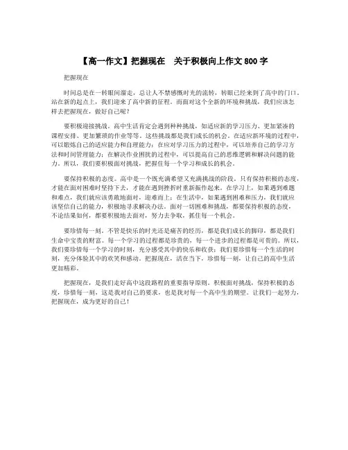 【高一作文】把握现在  关于积极向上作文800字