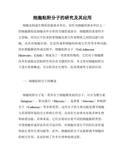 细胞粘附分子的研究及其应用