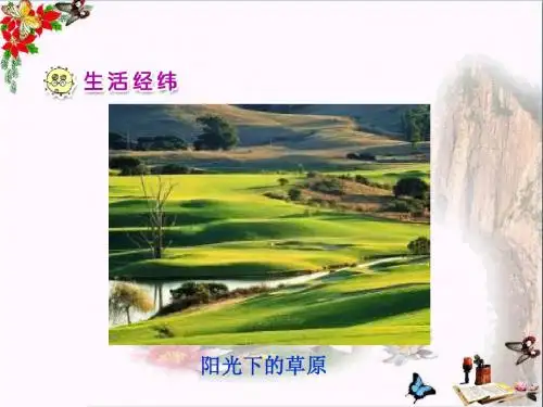 一年级品德与生活下册我们和太阳做游戏(一)课件之一新人教版