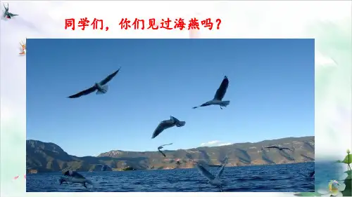 【部编版】初中语文海燕完美PPT1