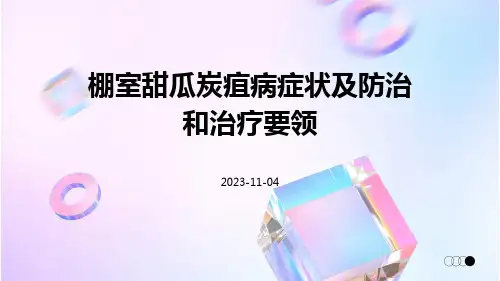 棚室甜瓜炭疽病症状及防治和治疗要领