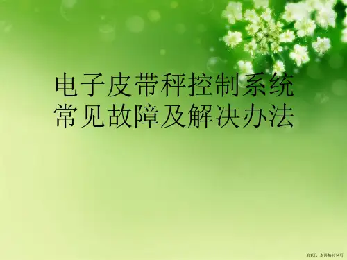电子皮带秤控制系统常见故障及解决办法