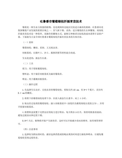 吐鲁番市葡萄绿枝扦插育苗技术