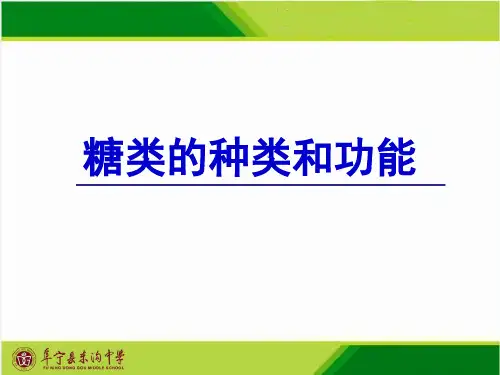 高中生物必修一第二章 糖类的种类和功能