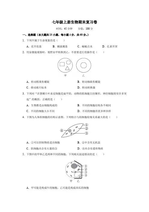 人教版七年级上册(2024)生物期末复习能力卷(含答案)